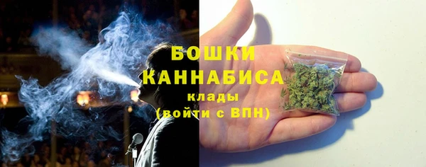 дурь Гусев