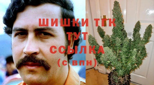 стаф Заволжье