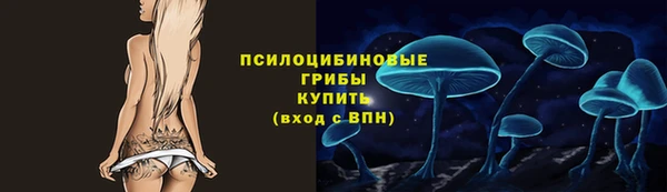 соль ск Михайловск