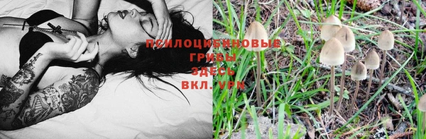соль ск Михайловск
