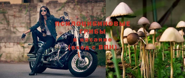круглые Гусиноозёрск