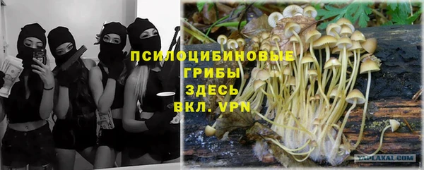 дурь Гусев