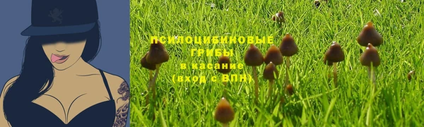 mdma Гусь-Хрустальный