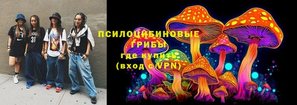 круглые Гусиноозёрск
