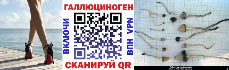 Псилоцибиновые грибы ЛСД  наркошоп  Дно 